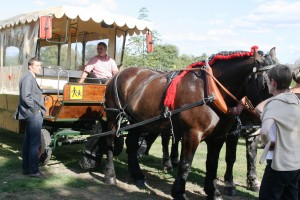 Cheval - Transport scolaire