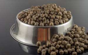 brown dogs food in bowl on black background