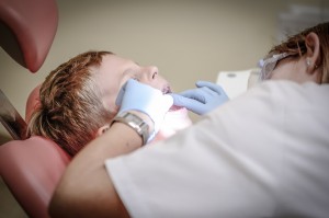 zootherapie-chez-le-dentiste-4